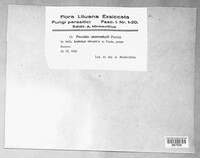 Image Associated With the Occurrence